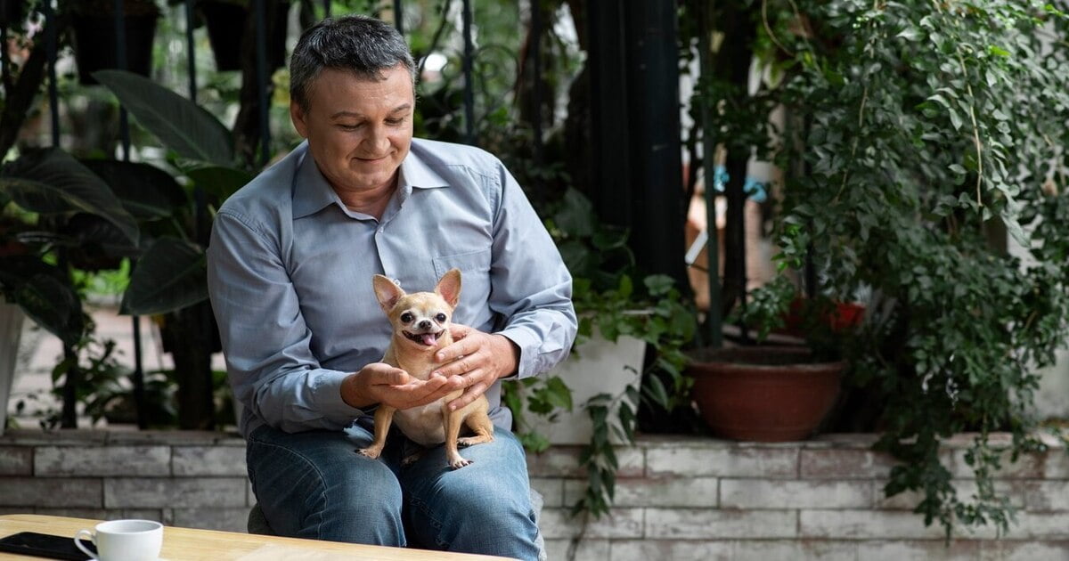 Kesalahan Bisnis Petshop