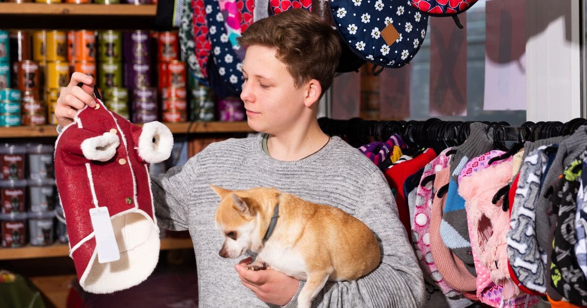 Franchise PetShop