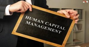 Apa itu HCM – Human Capital Management? Pengertian, Manfaat, dan Tugasnya di Perusahaan
